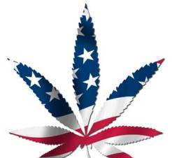 american_flag_marijuana