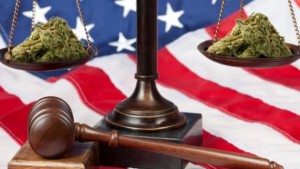 legalize_marijuana_fed-bill
