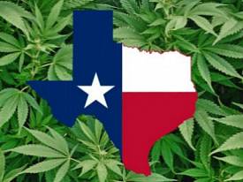 Texas Marijuana