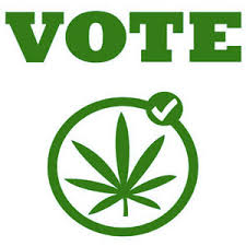 Marijuana Vote