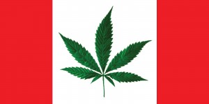 Canada Marijuana Flag