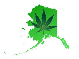 Alaska Marijuana