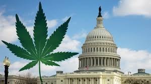 Washington, D.C. Marijuana