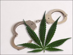 marijuana arrest