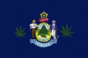 Maine marijuana