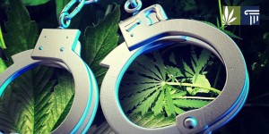Marijuana Arrest Rate