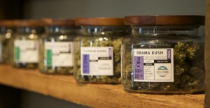 Oregon Marijuana Store