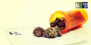 Medical Marijuana MMJ