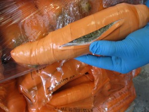Marijuana Disguised as Carrots
