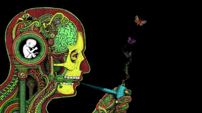 Marijuana and the brain