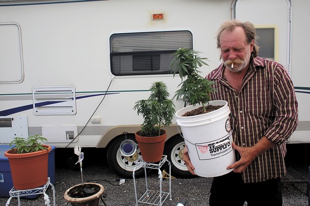 Bill Rader, 60, carries his favorite marijuana plant outside in Pueblo West to soak up the sun. Rader is a veteran from Missouri who smokes because he can't take pain pills.