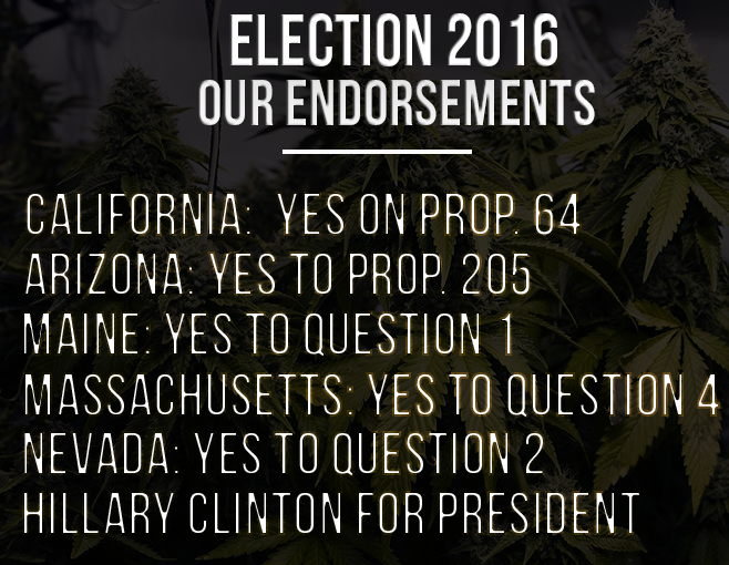 Election 2016 Endorsements