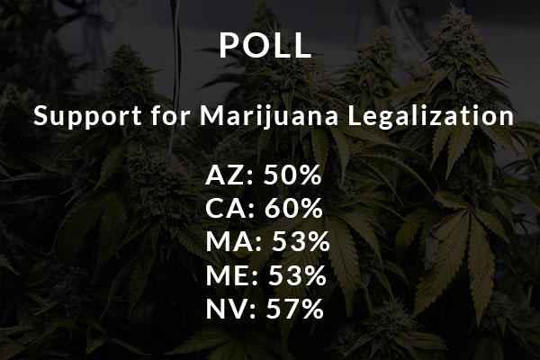 Marijuana Legalization Poll