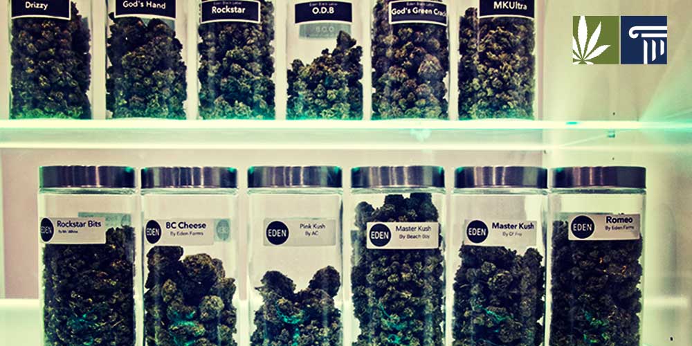 Marijuana Dispensary Massachusetts