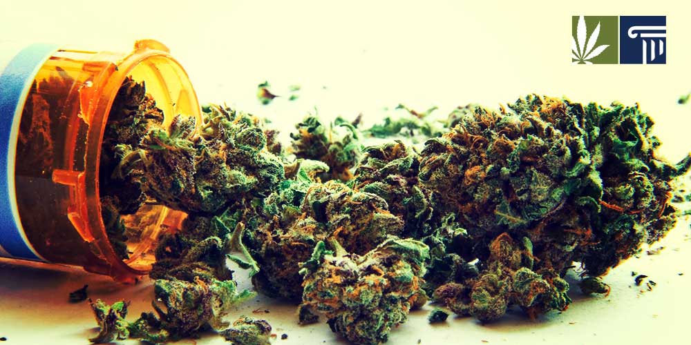 What To Expect From Medical Marijuana in Louisiana In 2019 Marijuana and the Law