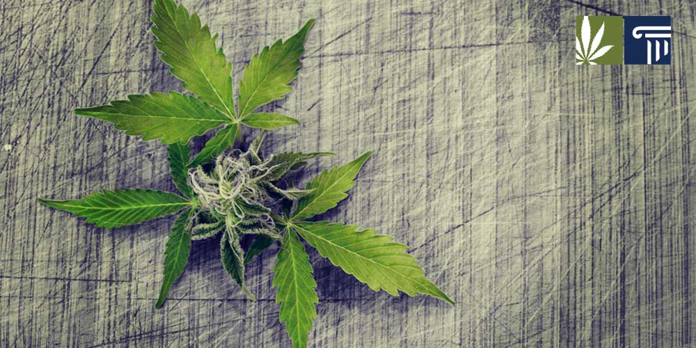 West Virginia marijuana legalization