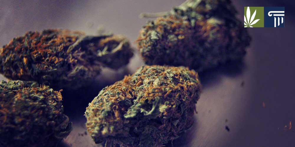 North Carolina legalize medical marijuana bill