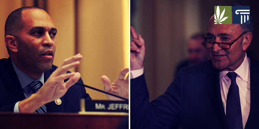 Schumer And Jeffries Reintroduce Marijuana Freedom And Opportunity Act ...