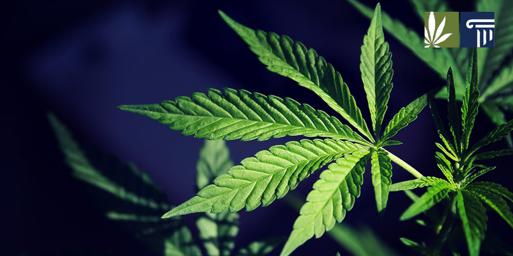 new hampshire medical marijuana changes