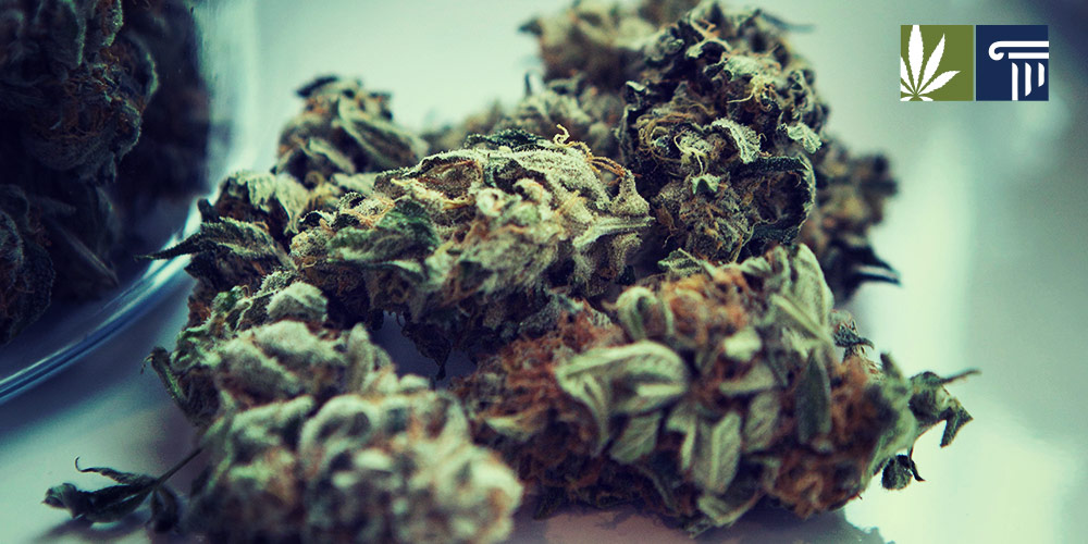 new hampshire cannabis legalization bill