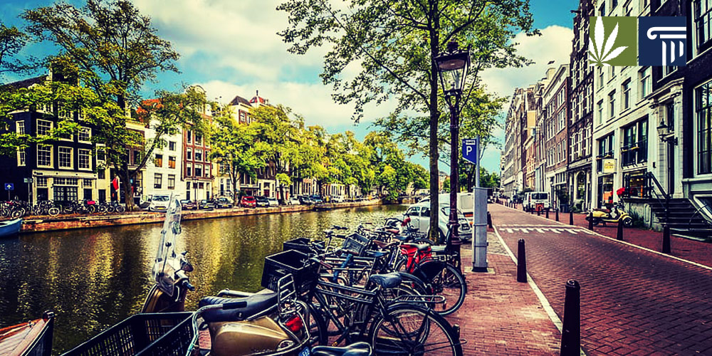 amsterdam mayor considering banning weed tourists