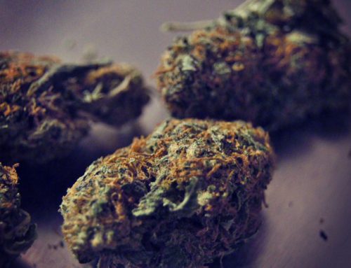 Arizona Prosecutors Drop Existing Marijuana Possession Charges as Legalization Takes Effect