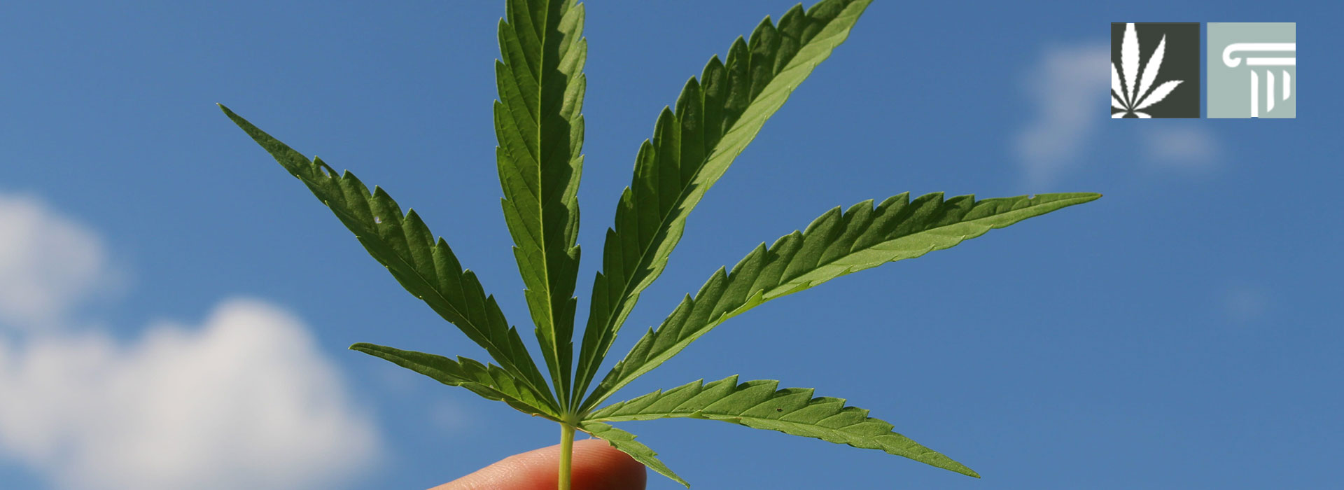 Indiana marijuana reform 2021