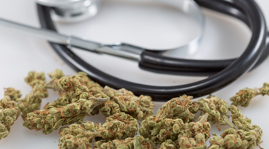 medical marijuana activism