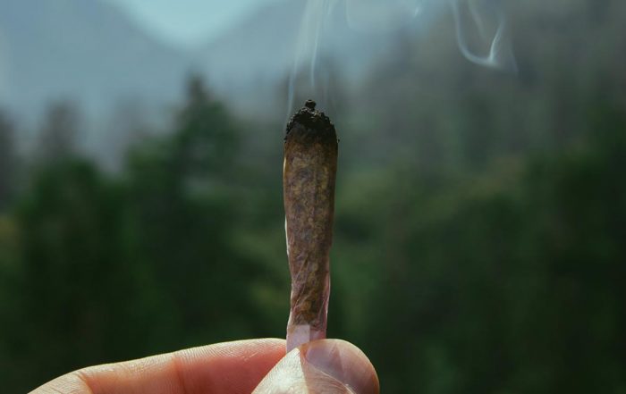 new orleans decrimninalize marijuana