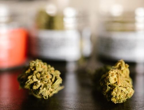Connecticut Patients Can Now Legally Grow Medical Marijuana at Home