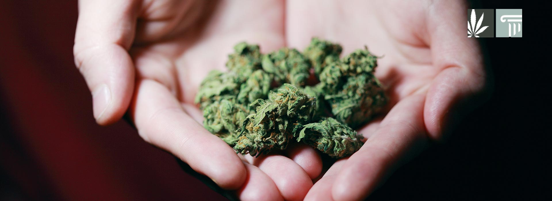 la county dismiss marijuana convictions