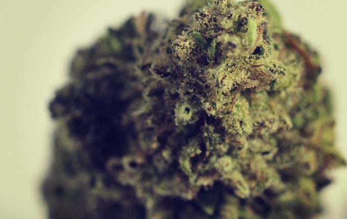 Ohio Republicans File New Marijuana Legalization Bill