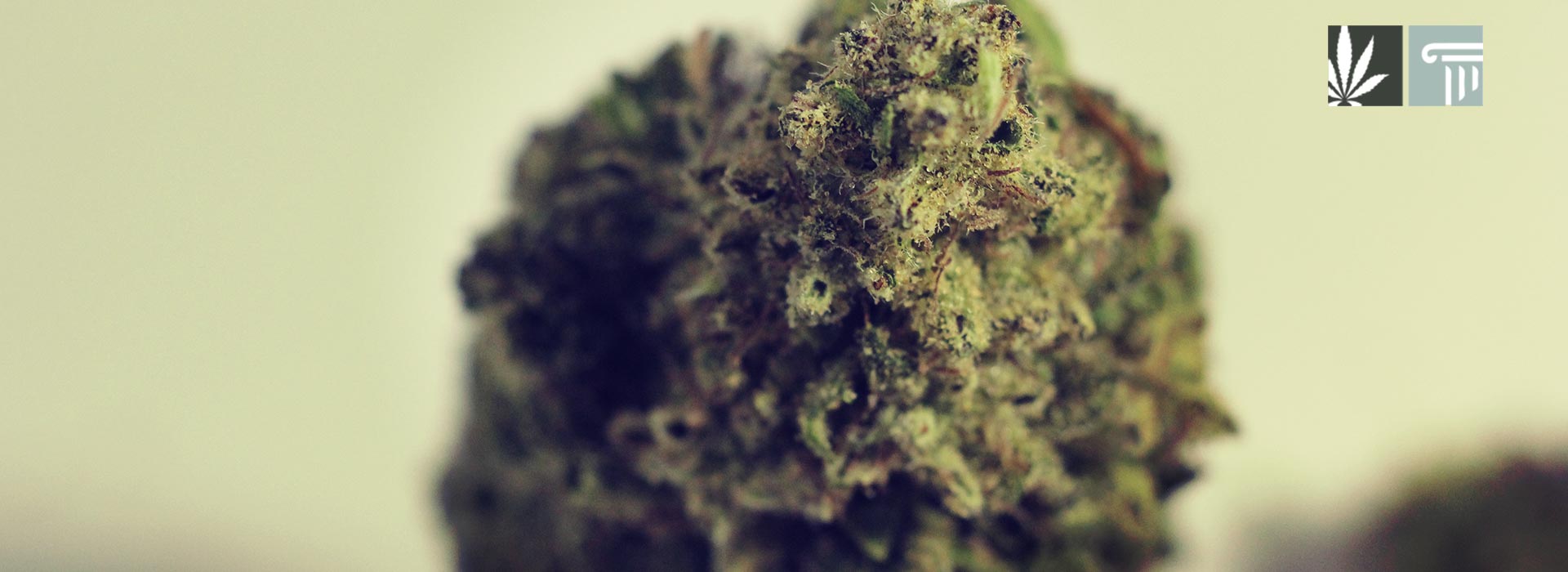 Ohio Republicans File New Marijuana Legalization Bill