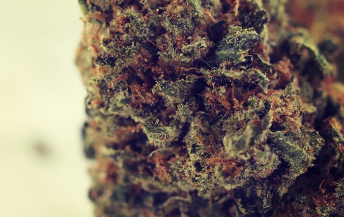 Rhode Island marijuana legalization
