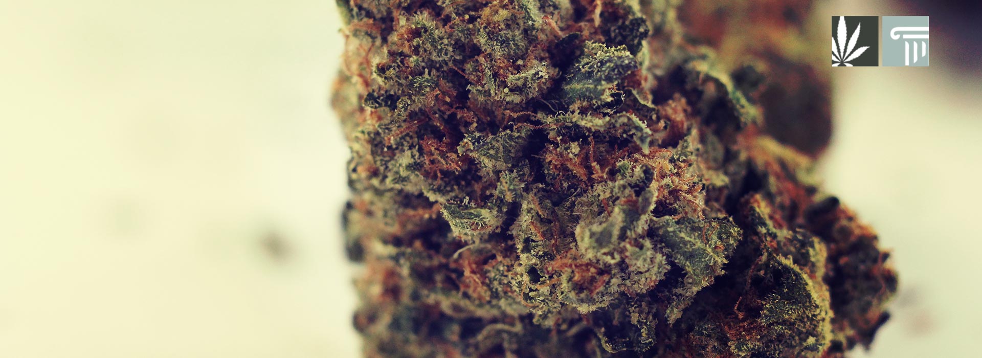 Rhode Island marijuana legalization
