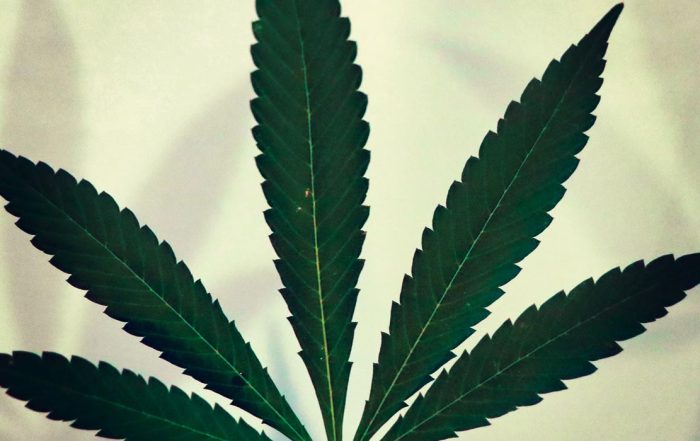iowa marijuana legalization