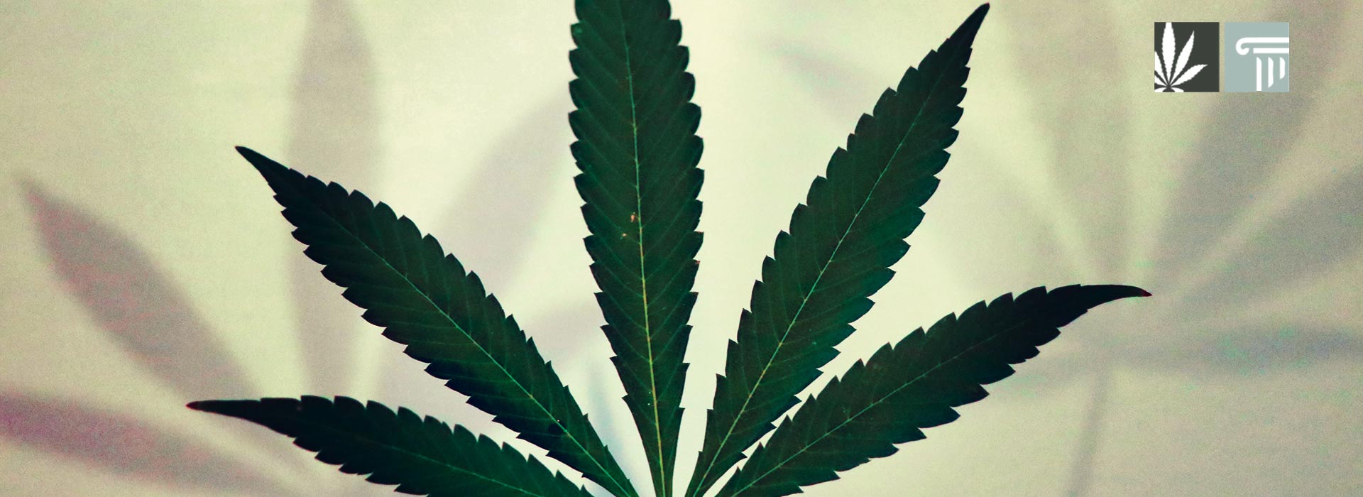 iowa marijuana legalization