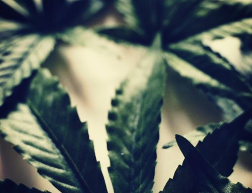 Oklahoma Marijuana Activists Submit Another Legalization Ballot Initiative for 2022