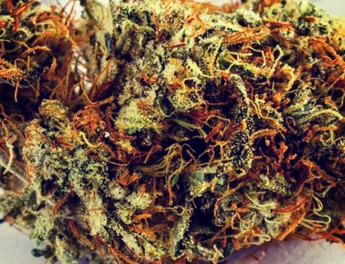 Mississippi Medical Marijuana Legalization Law Takes Effect