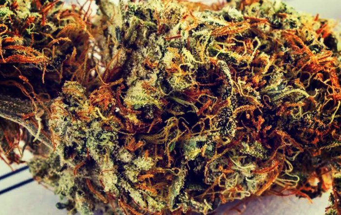 mississippi legalizes medical marijuana
