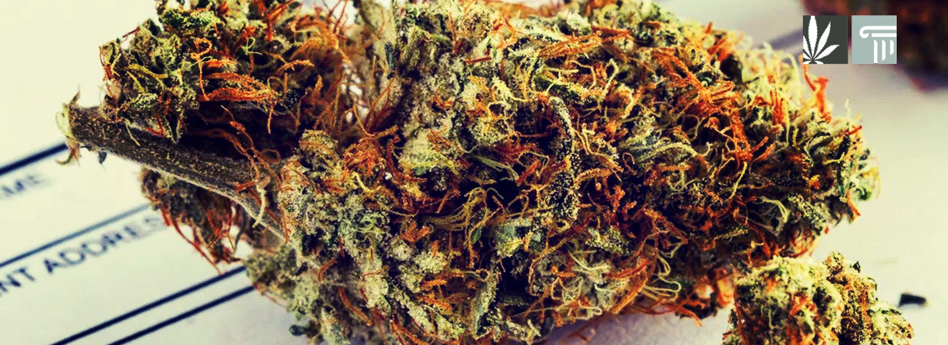 mississippi legalizes medical marijuana