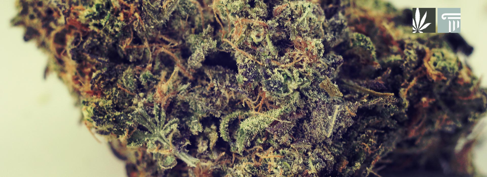 rhode island marijuana legalization