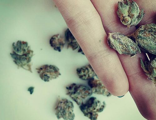 South Carolina Senate Advances Medical Marijuana Legalization Bill