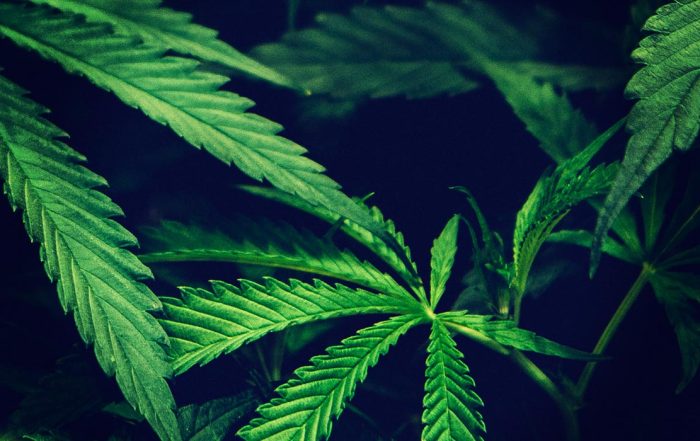 kentucky medical marijuana legalization