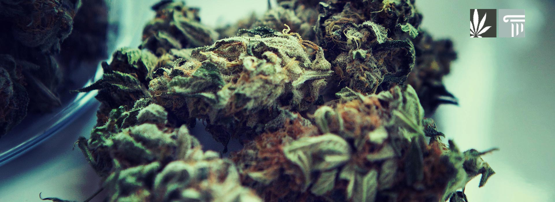 new hampshire marijuana legalization