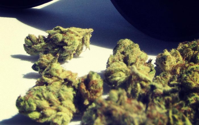 420 cannabis pardon bill