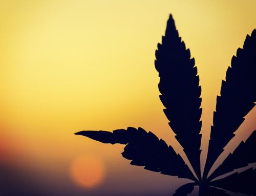 Ohio Voters Will Not Decide on Marijuana Legalization Until 2023