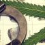Pennsylvania Gov Launches Mass Pardon Scheme for Those with Low-Level Marijuana Convictions