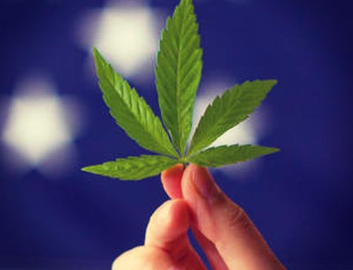 Every State That Will Vote on Marijuana Legalization This November