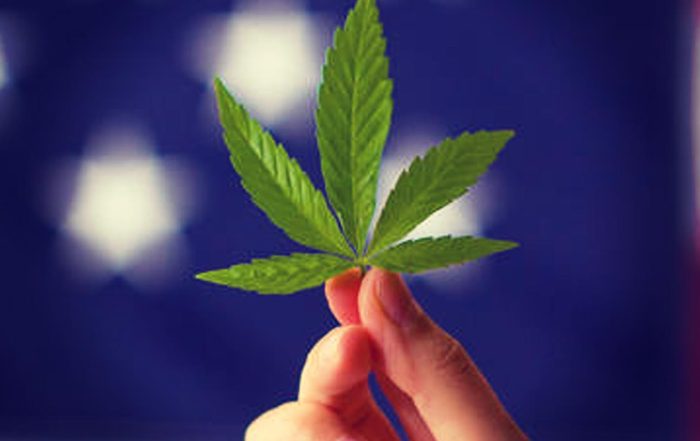 states voting on marijuana legalization november ballot 2022